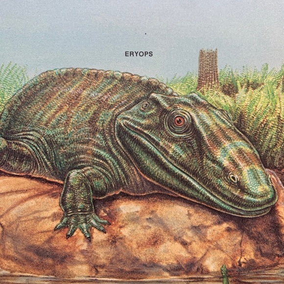 Prehistoric Animals vtg 1978 paperback book 8" used by Peter Zallinger - Picture 7 of 12